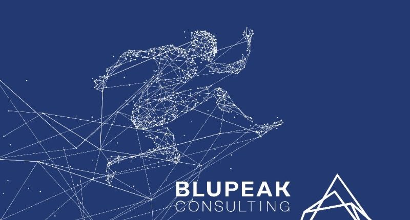 bluepik-consulting