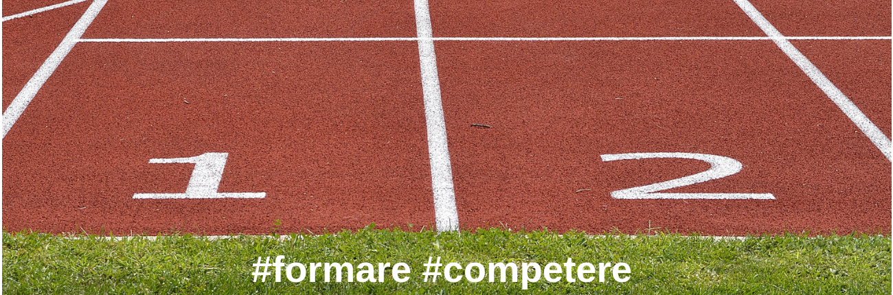 1300_FormareCompetere
