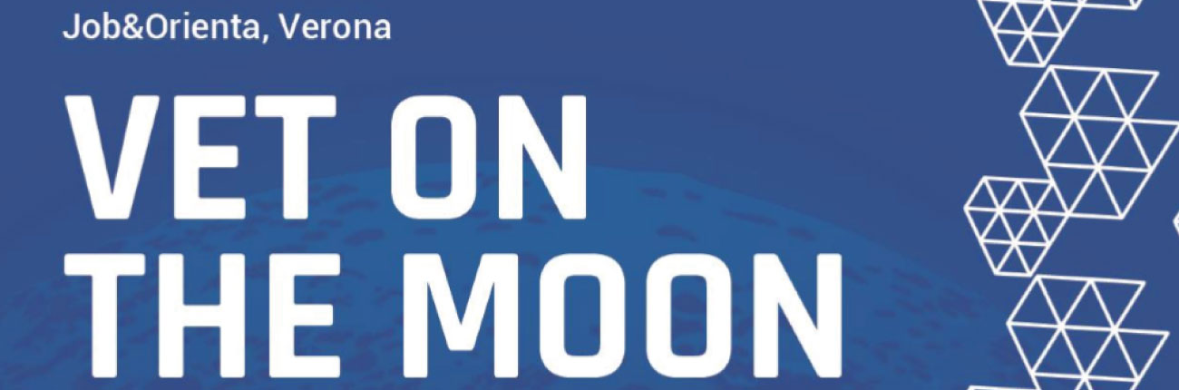 Vet-on-the-moon-interna Vet-on-the-moon