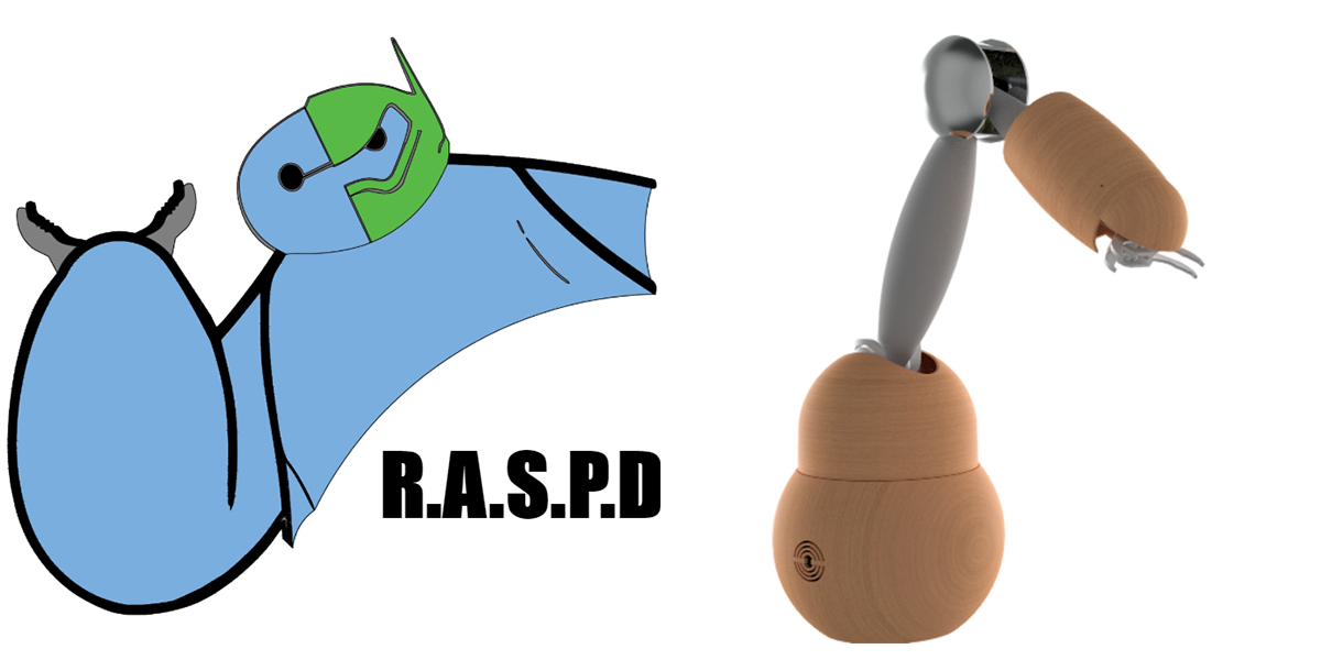 raspd robot