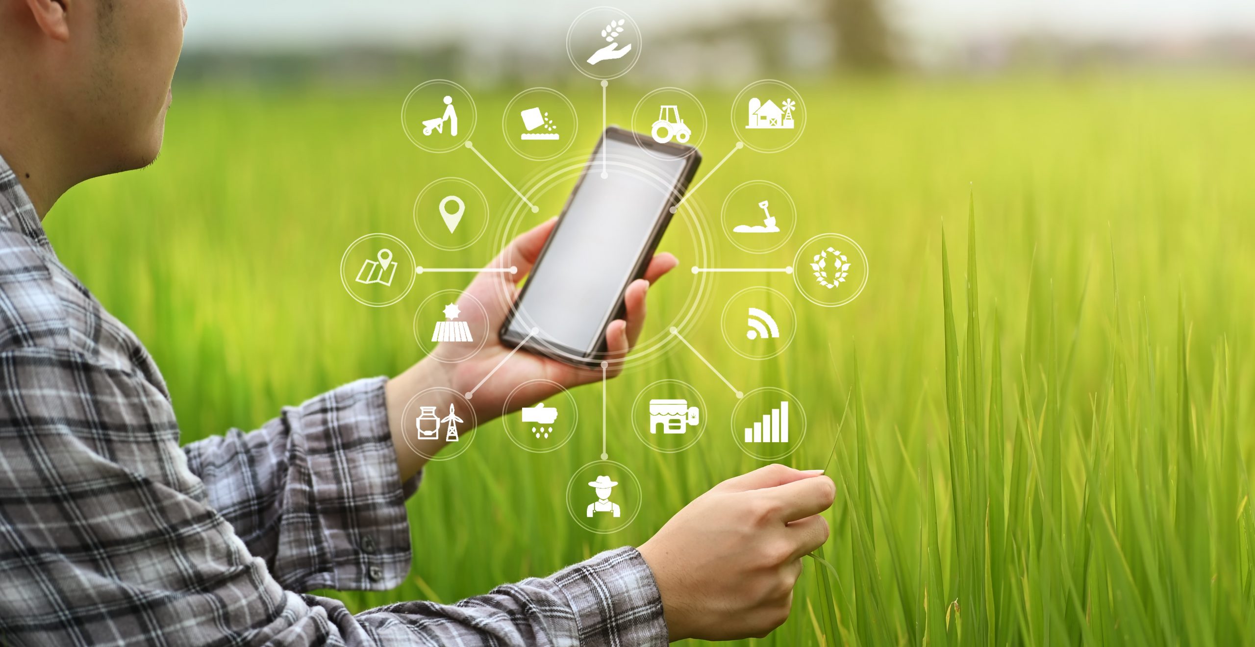 Agriculture technology farmer man using smartphone analysis data