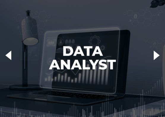Data Analyst