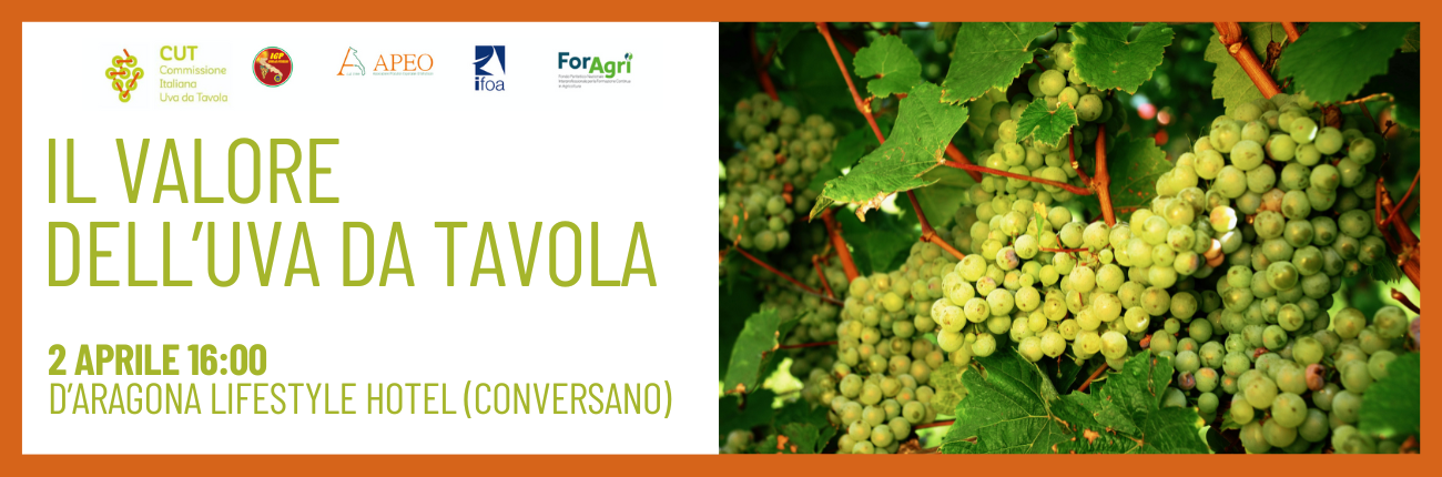 Il valore dell'uva da tavola